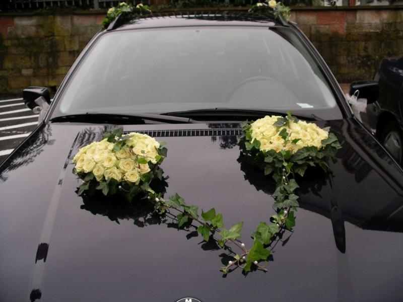 hf fs 0709 hf fs 0709