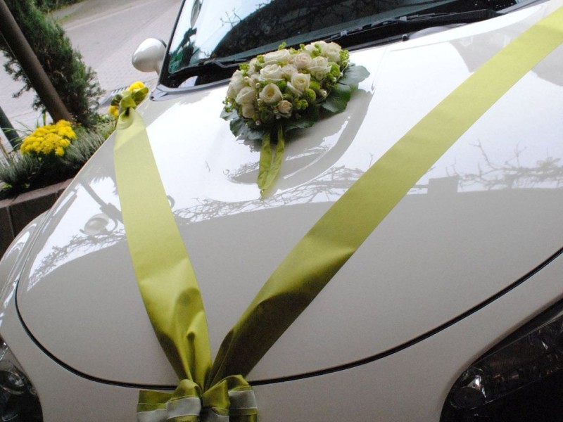 hf fs 1010 hf fs 1010