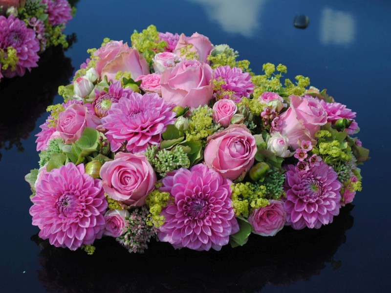 hf fs 1209 hf fs 1209