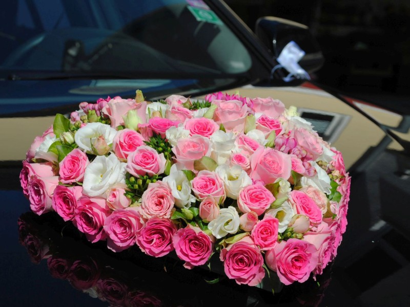 hf fs 1608 hf fs 1608