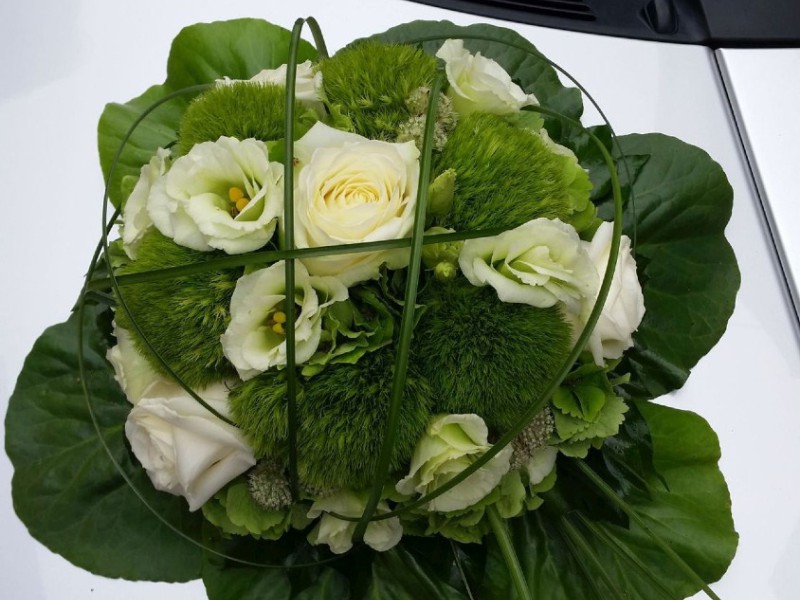 hf fs 1707 hf fs 1707