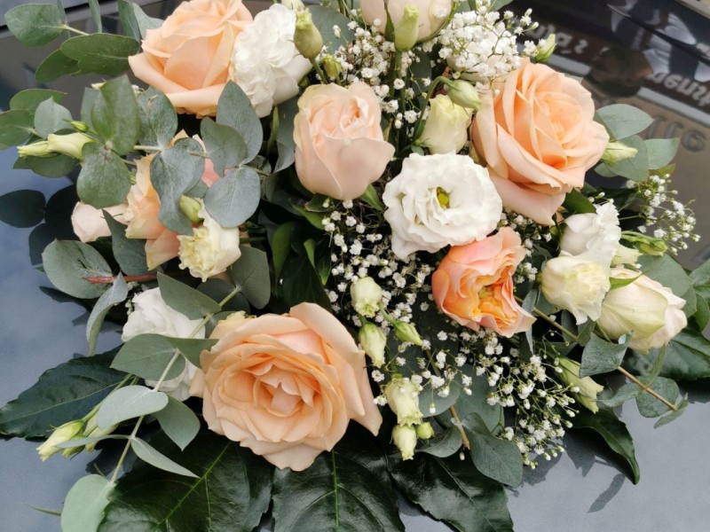 hf fs 2108 hf fs 2108