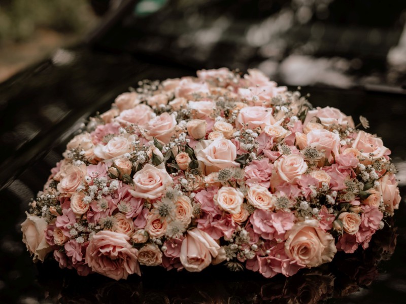 hf fs 2205 hf fs 2205