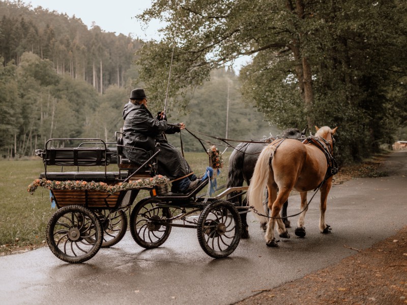 hf fs 2209 hf fs 2209