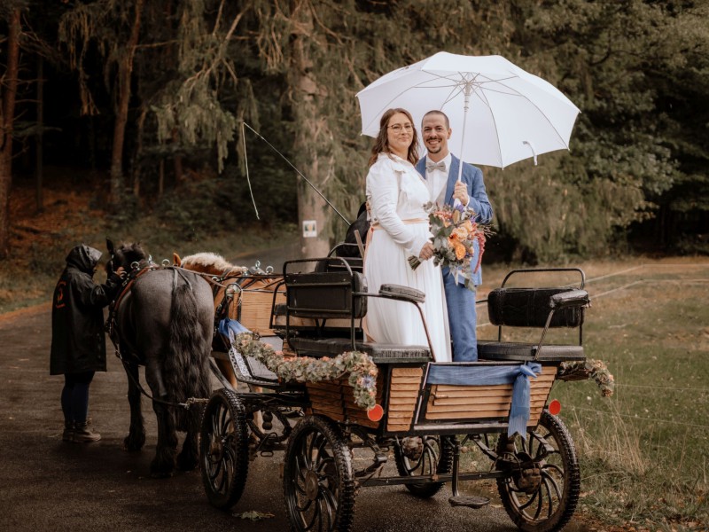 hf fs 2209 hf fs 2209