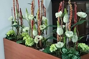 eventfloristik firmenservice eventfloristik firmenservice