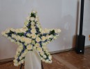 tf sf 1403