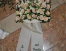 tf sf 1505