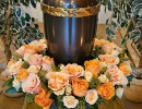 img wa000138 img wa000138