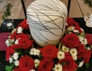 tf uk 2011